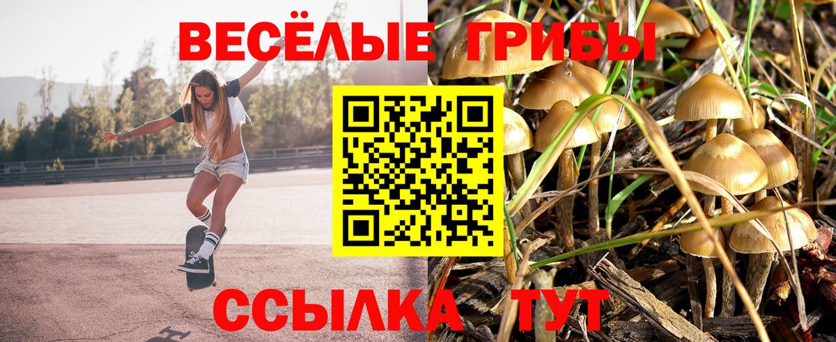 Галлюциногенные грибы прущие грибы  где продают   Магадан  Вход с VPN 